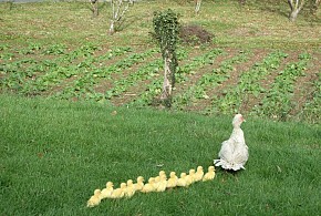 AGROTURISMO UXARTE
