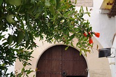 CASA DE LA PLACETA DEL RINCÓN