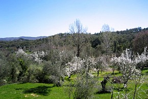 CASA ROJA MONTEMATEO