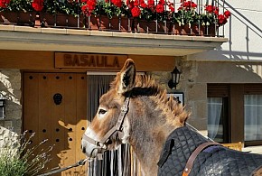 CASA RURAL BASAULA