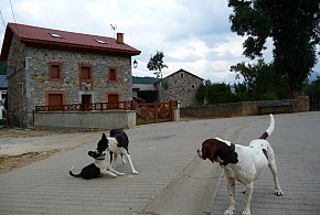 CASA RURAL CINCO LEYENDAS