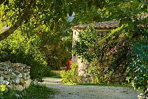CASA RURAL FINCA EL CORRAL