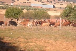 CASA RURAL LA LOMA