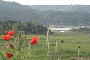 CASA RURAL LA POSADA DE DURÓN
