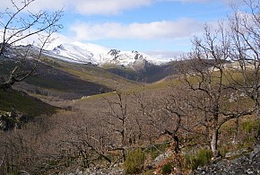 CASA RURAL MOLINO DEL ARRIERO