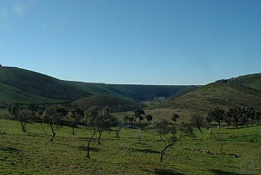 CASAS RURALES LA ALBERGUERIA