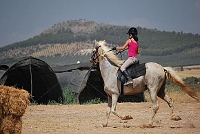 CORTIJO FERRADORES