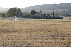 CORTIJO FERRADORES
