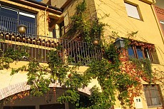 EL CAU DE PALAU