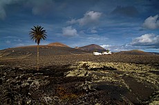 FINCA TISALAYA