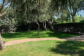 LA CASA DE BRUNETE