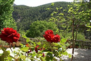 POSADA DEL RIO CARBO
